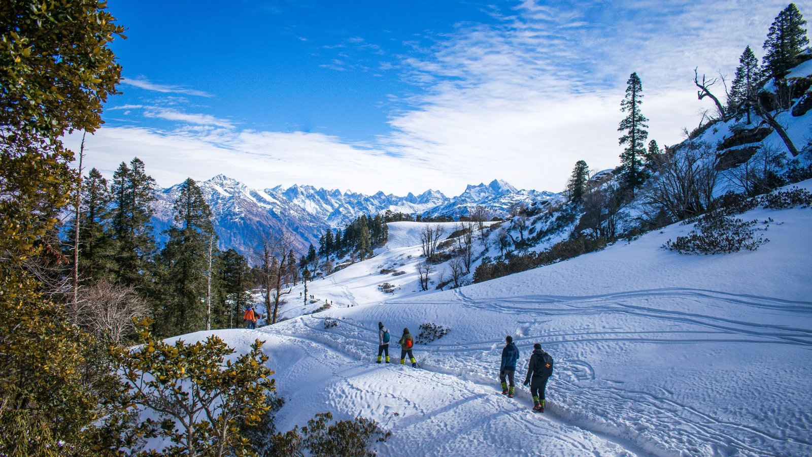 pet friendly hotels in manali